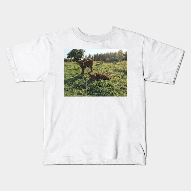 Scottish Highland Cattle Calves 1551 Kids T-Shirt by SaarelaHighland